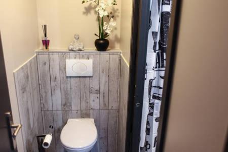 Cosy Au Coeur Des 3 Vallees Argeles-Gazost ภายนอก รูปภาพ
